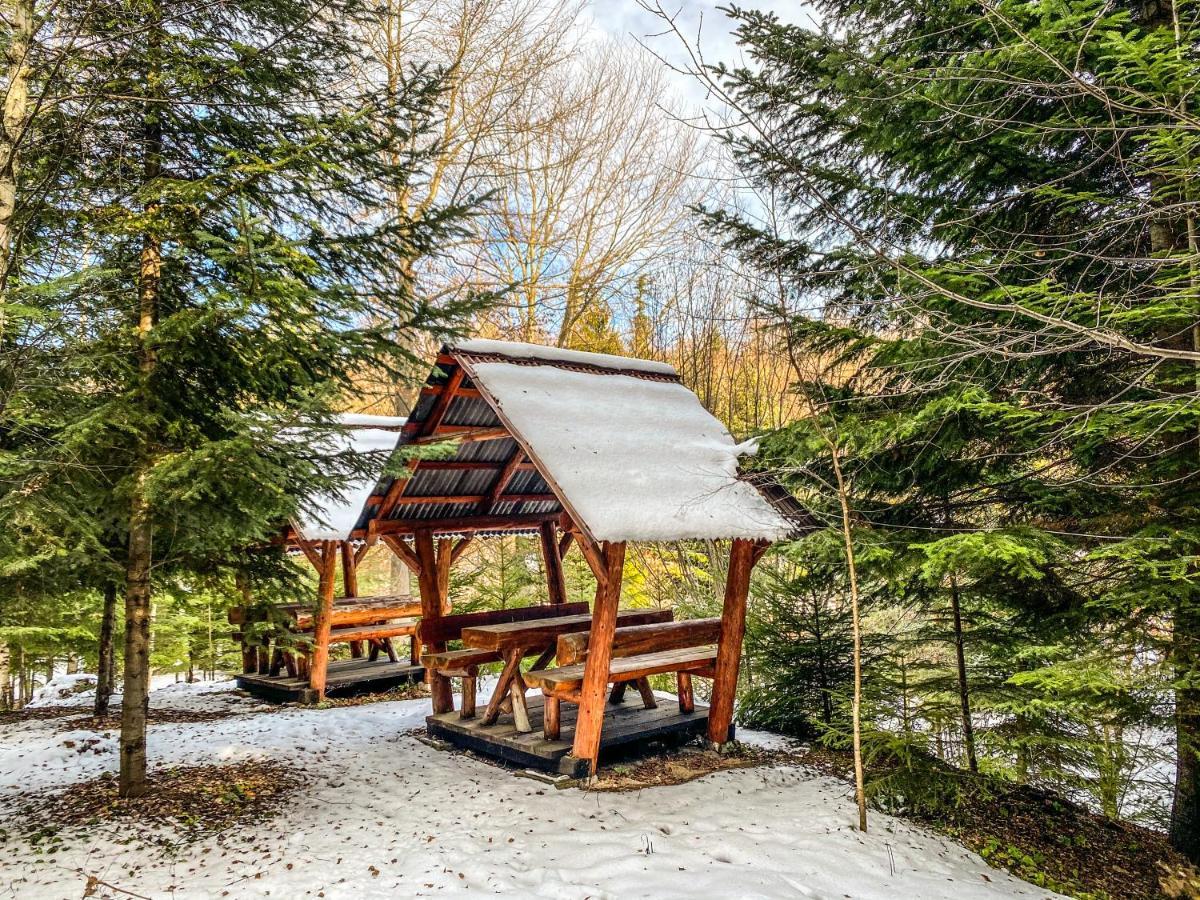 Pensiunea Ionela Zemes Exteriér fotografie